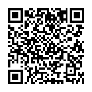 绝对不能让红衣大主教下去支援那些十字远征军二维码生成