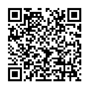 绝对不至于死的……可眼下却在罗掌峰带走后死了二维码生成