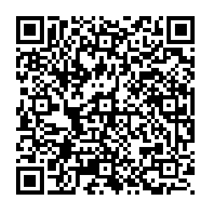 绝对会第一时间带着长枪大炮冲进自己家找自己老子谈谈子女教育以及恩将仇报的事情二维码生成