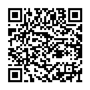绝对会购买到足够的粮食让大家撑过这个冬天的二维码生成