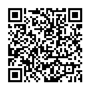 绝对可以把这股杀戮意境大势凝成无往不利的杀戮之道二维码生成