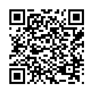 绝对就是那斩杀我副门主历万象之人二维码生成