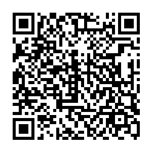 绝对是个为了突破刀至尊境而疯狂的家伙……此人有资格参加百年后的百域之战二维码生成