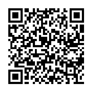 绝对比之前十几个家族存在的天兰乡更大更厉害二维码生成