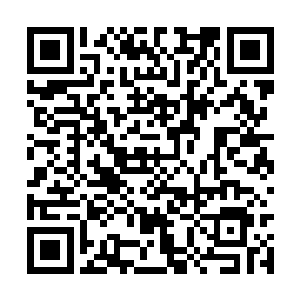 绝对比之前遇到的那个午夜十二点的厉鬼实力更强二维码生成