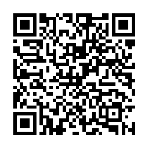 绝对没有人能在这么幼小的年纪就达到圣王的境界二维码生成