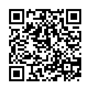 绝没有这样通体纯白又带着七彩尾鳍的二维码生成