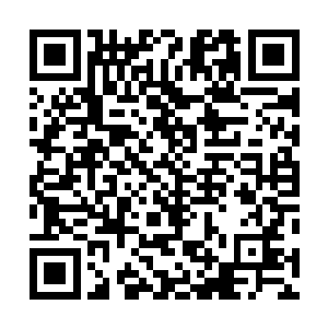 绞尽脑汁思考该如何在如此诡异又丰饶的环境中生存下去二维码生成