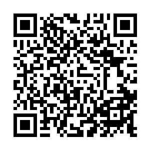 绢画表面的浮尘和掺杂进了墨里的东西是不可同日而语的二维码生成