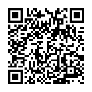 继刚才左首一个偏矮偏胖的老人的一声冷哼之后二维码生成