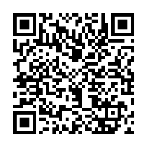 继续保持对支持太子的清流旧党一系还有蔡京一系的压制二维码生成