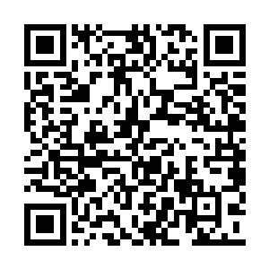 继续将视线钉在了那粉嘟嘟肉团团的小宝贝身上二维码生成
