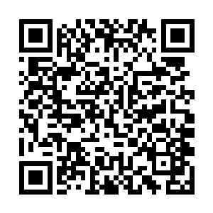 继续挥动着硕大的黑色头颅向着周围的煞兽一顿乱砸二维码生成