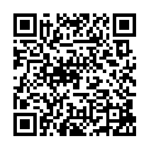 继续放任他成长下去或许会带来意想不到的危险二维码生成