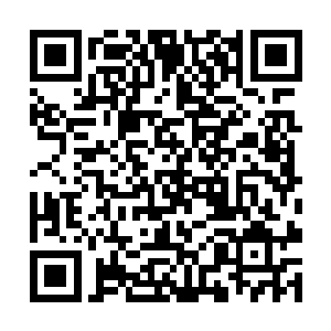 继续被命名为蓝色盾牌的武装安保公司就正式登场了二维码生成