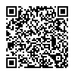 继而想到了刚刚众人打趣的朱平安因为筷子迁任裕王府侍讲学士一事二维码生成