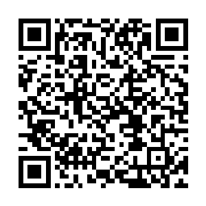 绯红之虎号带着几艘战船离开了已经化为地狱的港口二维码生成