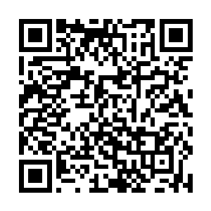 绯虞师姐和林师兄将会在这里为大家制作傀儡和炼丹二维码生成