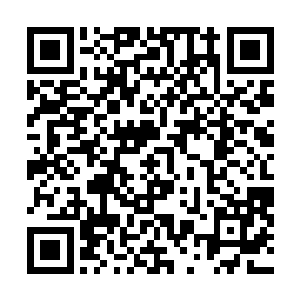 绳子把他的肩膀都几乎勒断了但他还是咬着牙一路往前走二维码生成