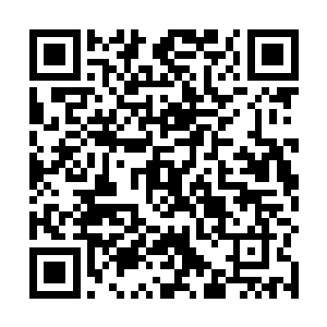 绳艺大师这个描述简直不要太那啥啊……什么叫特殊癖二维码生成