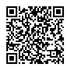 维多利亚一口道出了一个让张东城目瞪口呆的决定来二维码生成