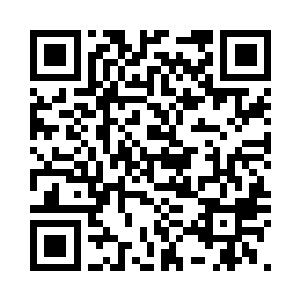 维多利亚迷醉地看着海鸥飞翔的海面二维码生成