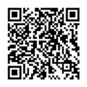 维尔特联邦在大秦帝国和奥创帝国以及其他帝国的联手攻击之下二维码生成