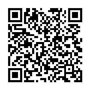 维杰勤快又欣喜的开始从后备箱搬运各种高级物件下来二维码生成