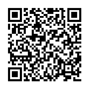 维杰里太能沉得住气了――如果她在新西兰的话二维码生成