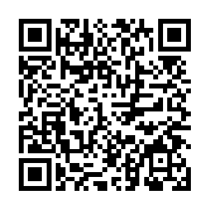 维杰里女士对于她和切萨雷在捣鼓的事情似乎全不知情二维码生成