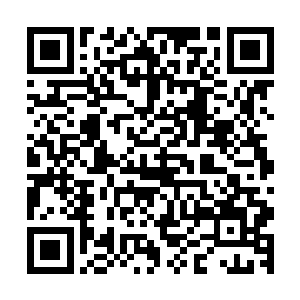 绵老站起身从袖里拿出一颗黯淡的失去光泽的宝石抛进丹炉里二维码生成
