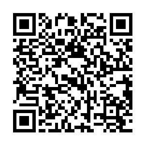 绷起的大块肌肉颤抖的样子就如同力戎此时脸上的表情二维码生成