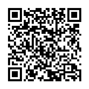 绸缎衣服上镶嵌着金片的舞姬就拄着长戈单膝跪地二维码生成