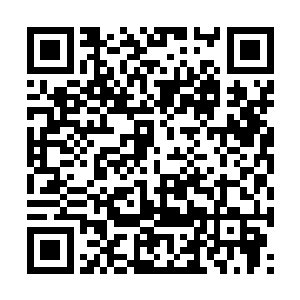 综合实力已经看比圣皇一二重天境界的盖世强者了二维码生成