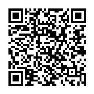 综合实力已经足以应付一些三流甚至二流的修真势力了二维码生成