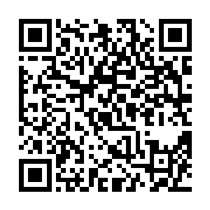 综合攻击力不过是堪比寻常天阶五星初期接近中期罢了二维码生成