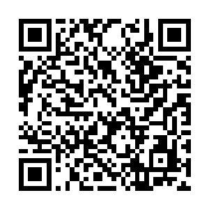 绽放出让人无法忽视的紫青两色光芒在虚空中飞舞二维码生成