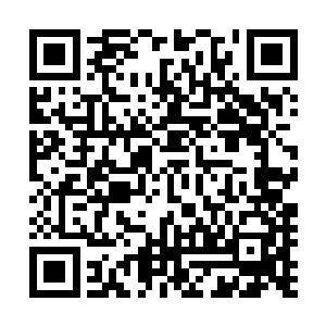绿尾蛇荡在半空的尾巴在宝镜的光柱下短短地被定住了瞬间二维码生成