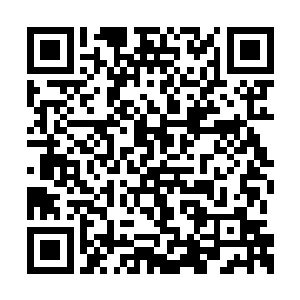 绿意莹莹的将这小小的绿洲严严实实地围了一圈二维码生成