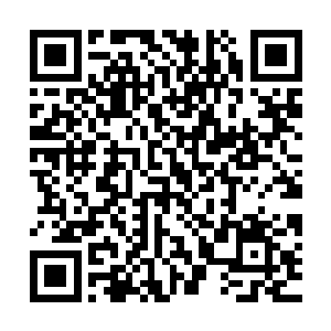 绿柳的幽怨眼神不时瞥来……秦薇薇昨天找不到借口向苗毅发飙二维码生成