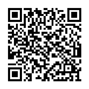 绿洲乐队与荣耀至死的对决几乎是没有任何机会二维码生成