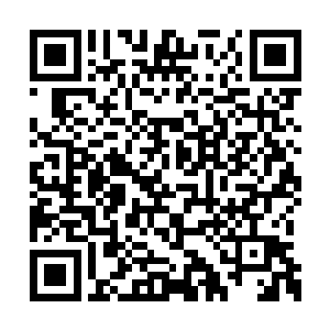 绿洲部落极有可能被渗透进了大量的长生殿中人二维码生成