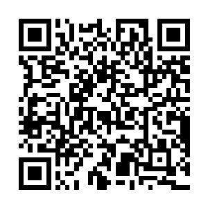 绿色也不是这么深……话说你是用什么把它染的这么深二维码生成