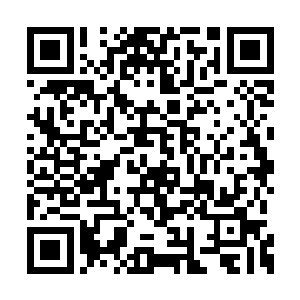 缅甸国内愈演愈烈的政治斗争令政府几近于瘫痪二维码生成