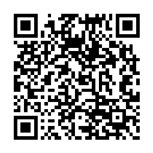 缓慢优雅的擦拭着自己修长如艺术品一般的指尖二维码生成