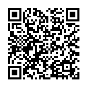 缓慢旋转的金雾已经连绵变成巨大无比的淡金色防护罩二维码生成