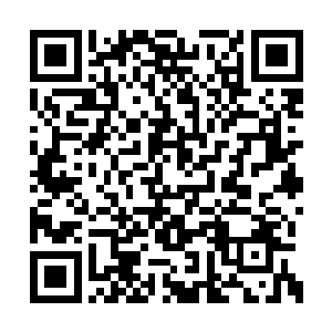 编委和主编是一篇论文能不能刊登的最终决定人二维码生成