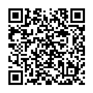 编瞎话的精密程度在一定意义上反应了对方对你的重视程度二维码生成