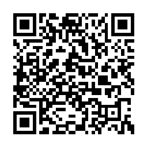 缠绕雷云行的藤蔓在承受了这些剑气的攻击之后二维码生成