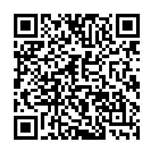 缺乏维修星舰所需的各项资源和喂饱所有民众的食物二维码生成